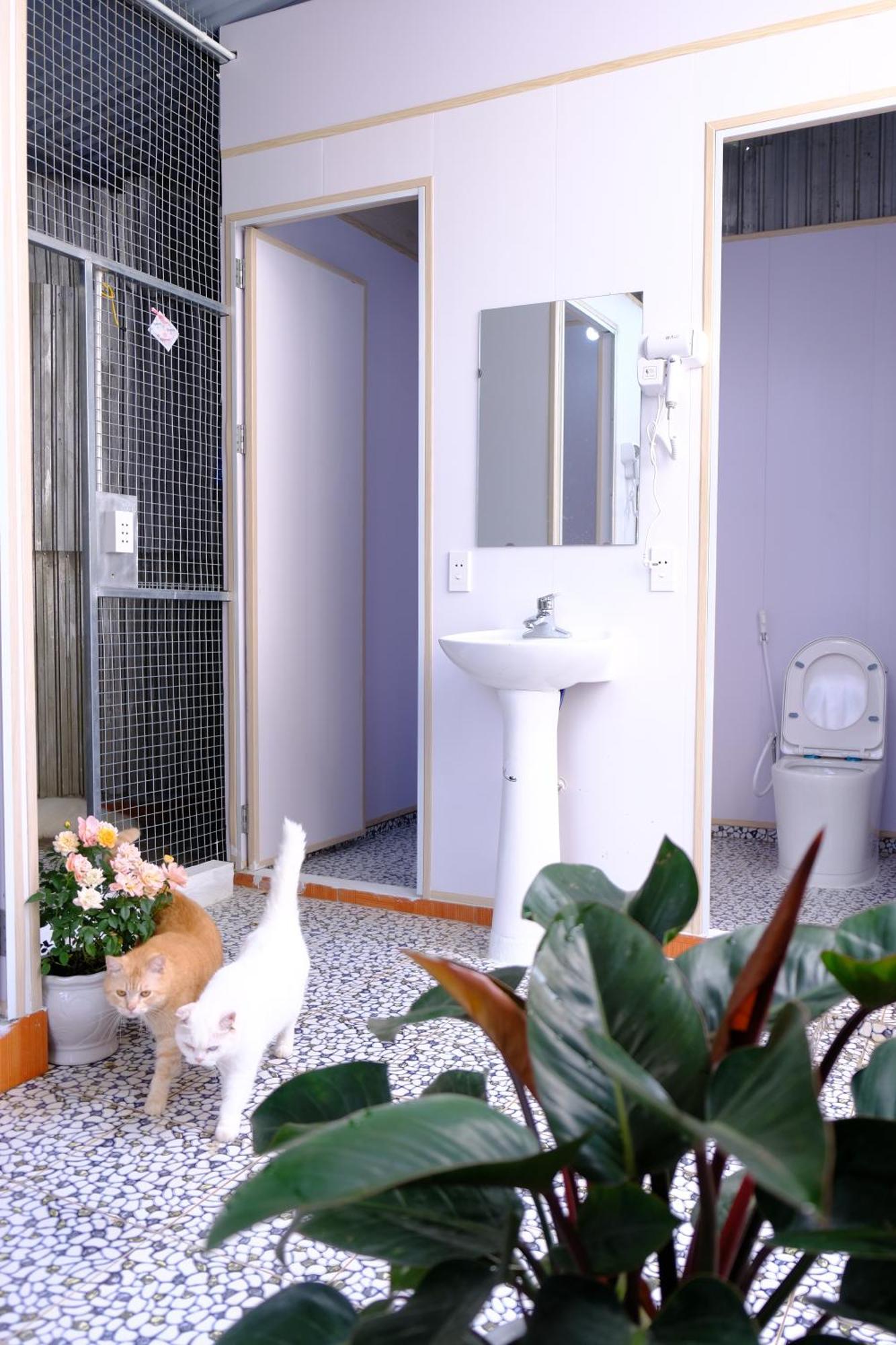 Lazy Cat Homestay - Motorbikes Rental & Tours Ha Giang Eksteriør bilde
